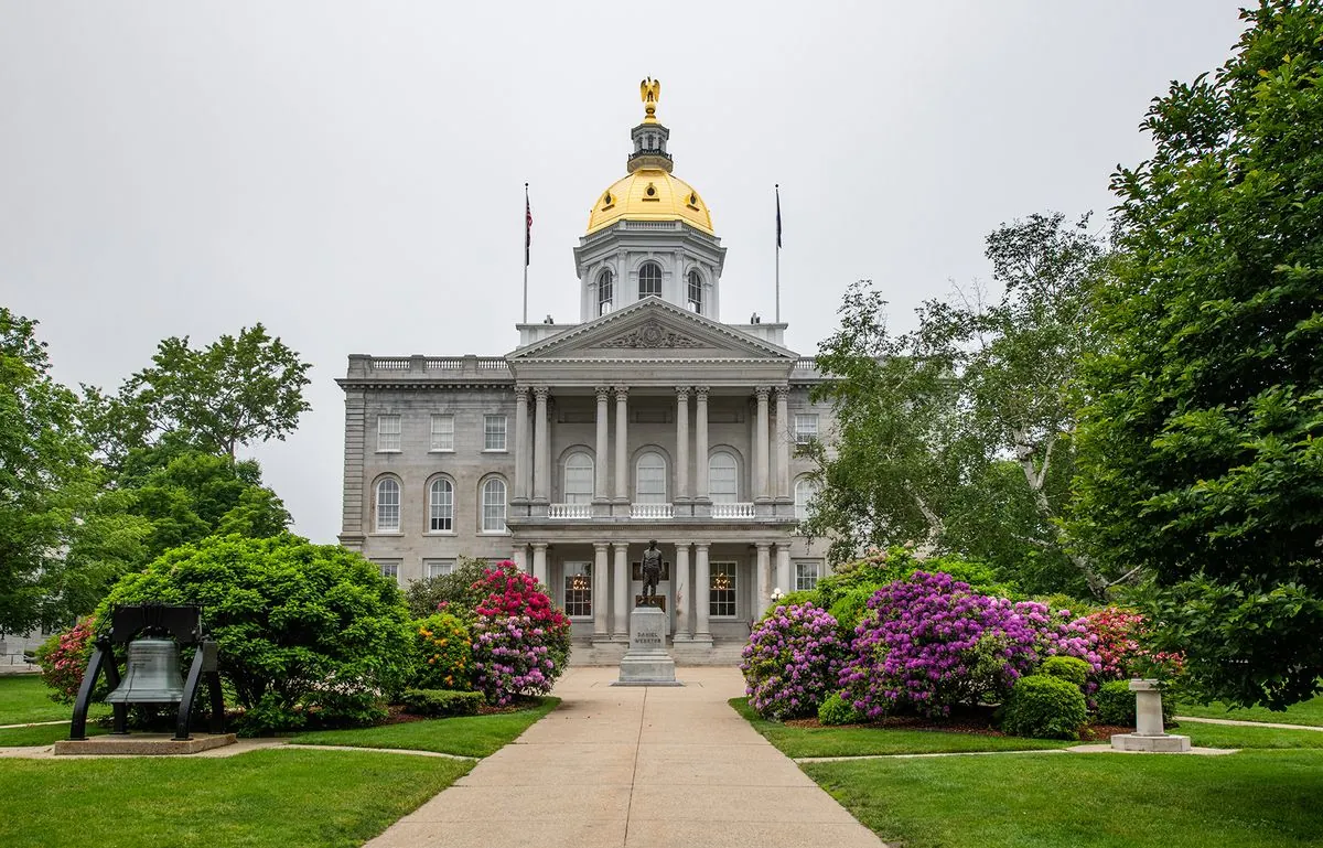 New Hampshire Primaries Set Stage for Crucial 2024 Elections