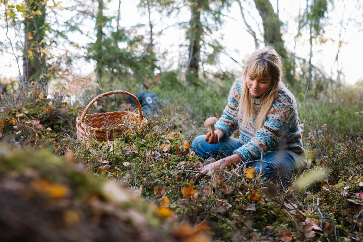 sweden-taps-foragers-to-track-chernobyls-lingering-radiation