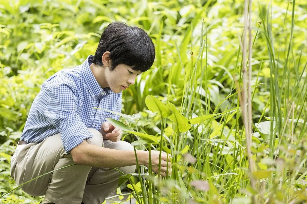 japans-prince-hisahito-turns-18-spotlighting-succession-challenges