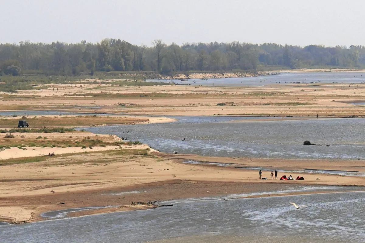 Poland's Vistula River Hits Record Low, Moose Crosses Shallow Waters