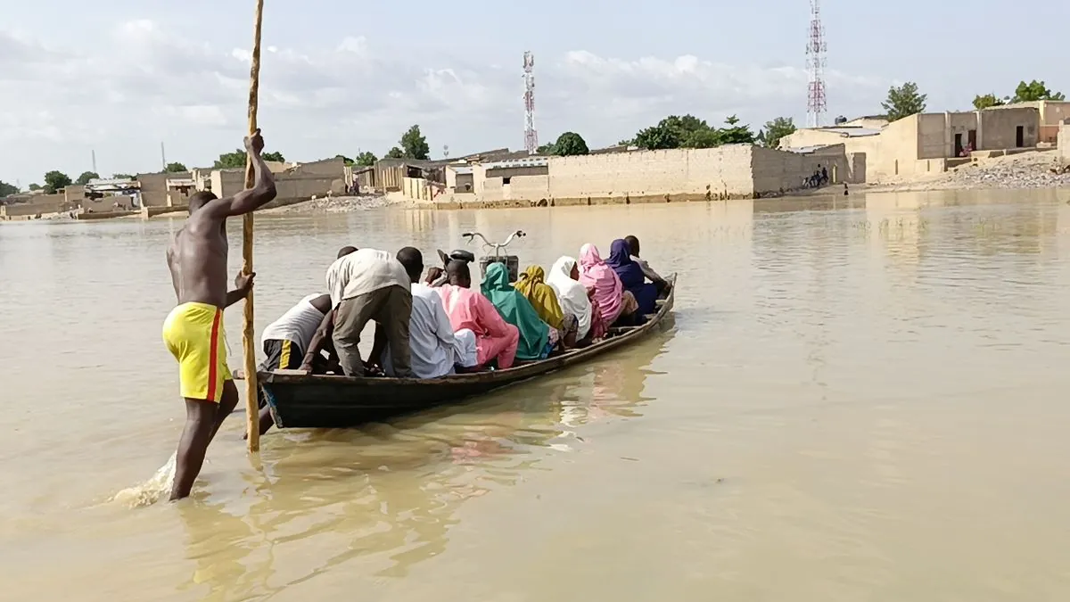 Devastating Floods in Nigeria's Borno State Decimate Zoo Animals