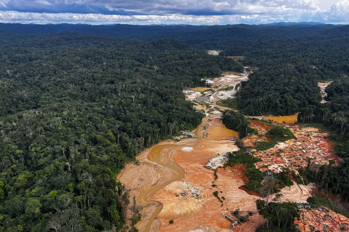 Brazilian Police Crack Down on Massive Illegal Gold Mining Operation in Amazon