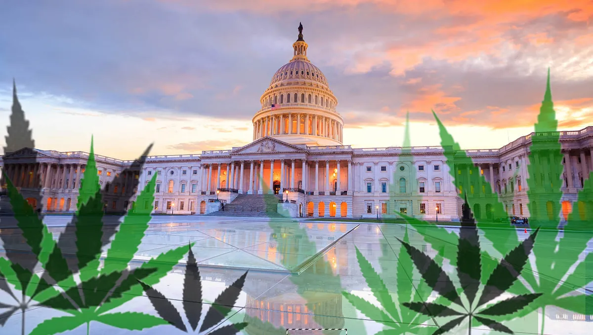 US Marijuana Policy Shift: Growing Support and State-Level Changes