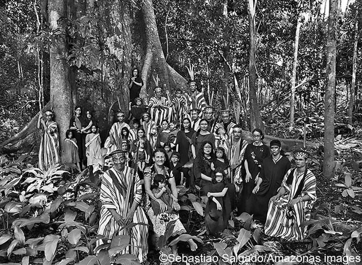 Ashaninka's Apiwtxa: A Beacon of Indigenous Forest Management in the Amazon