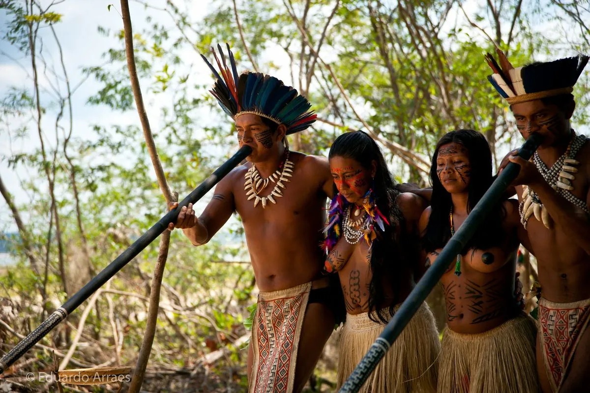 Ashaninka Tribe: Guardians of the Amazon Secure $6.8M for Conservation