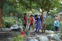 Urban Schoolyards: From Heat Islands to Green Oases