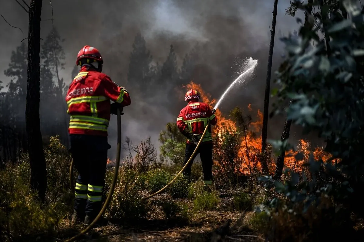 catalonian-wildfire-disrupts-major-transport-routes-near-french-border