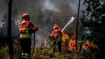 Portugal Battles Multiple Wildfires, Seeks EU Assistance