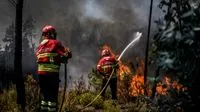 Portugal Battles Multiple Wildfires, Seeks EU Assistance