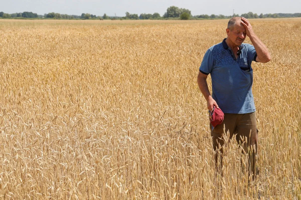 Ukrainian Farm Giant Prometey Struggles Amid War and Climate Challenges