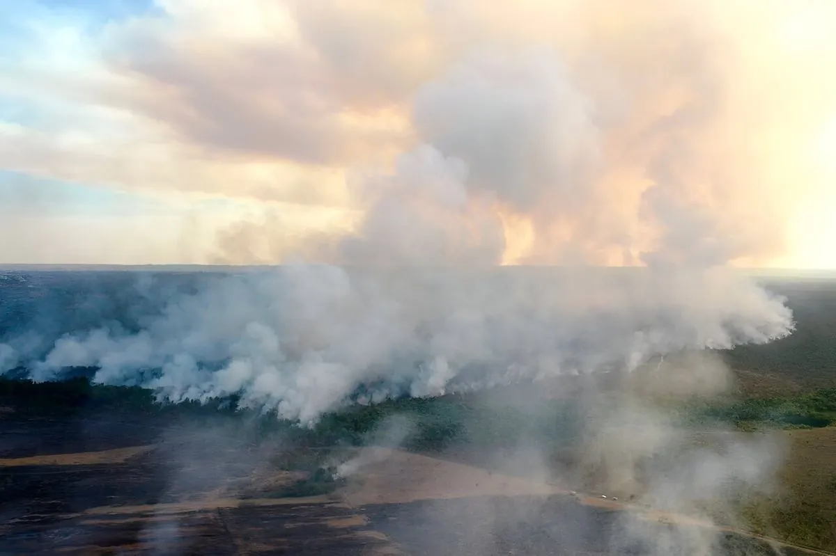 Brasilia Engulfed in Smoke as National Park Fire Rages Amid Drought