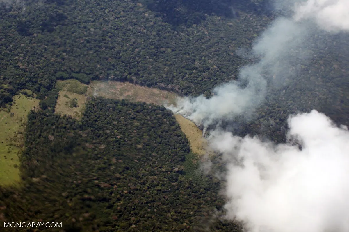 peru-battles-widespread-wildfires-15-dead-thousands-of-hectares-scorched