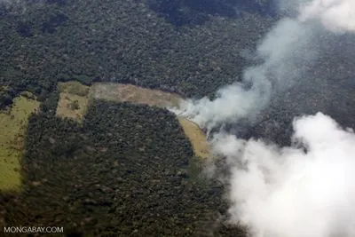 Peru Battles Widespread Wildfires: 15 Dead, Thousands of Hectares Scorched