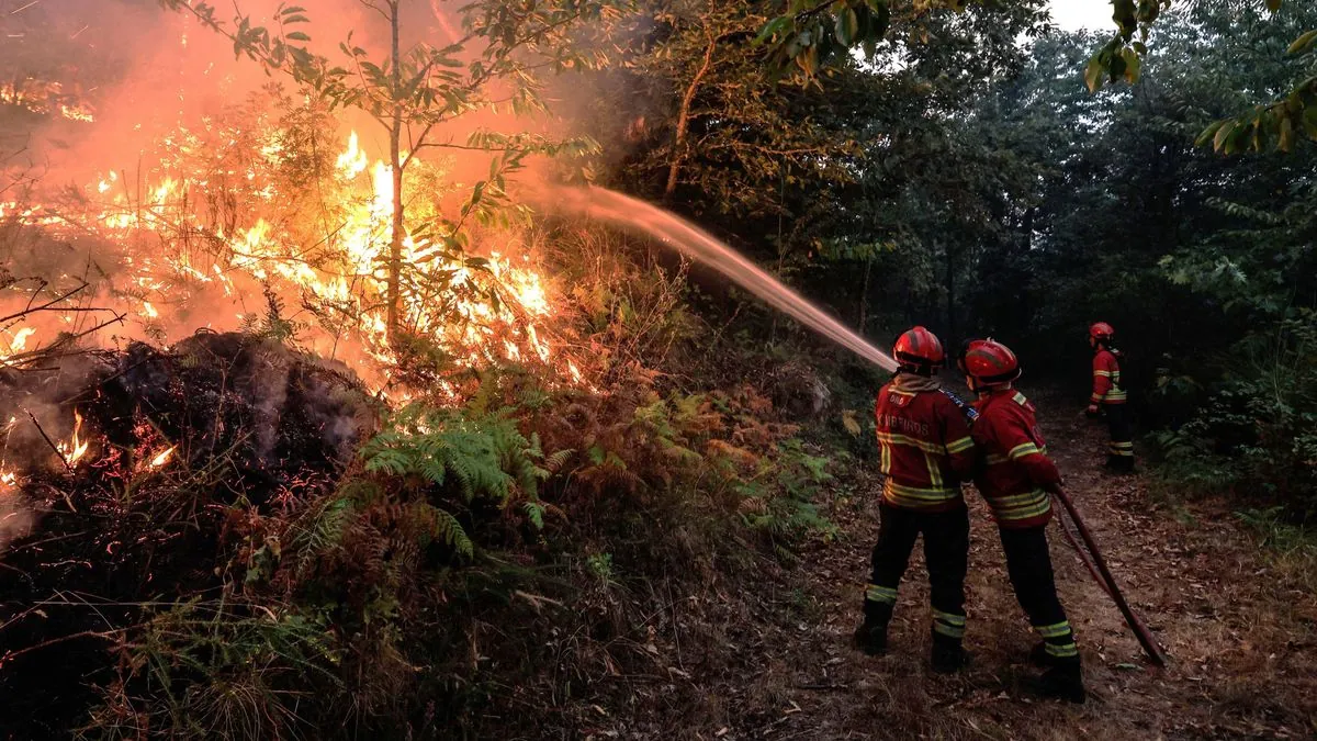 Portugal Battles Deadly Wildfires Amid Milder European Fire Season