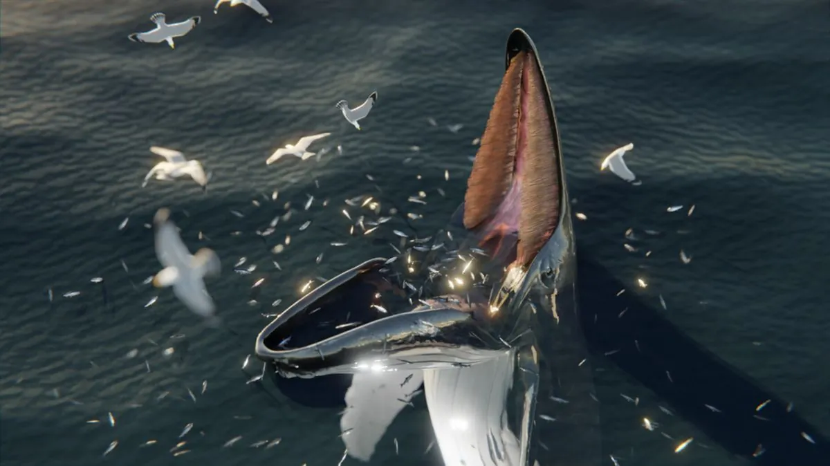 humpback-whale-accidentally-swallows-seal-during-feeding-frenzy