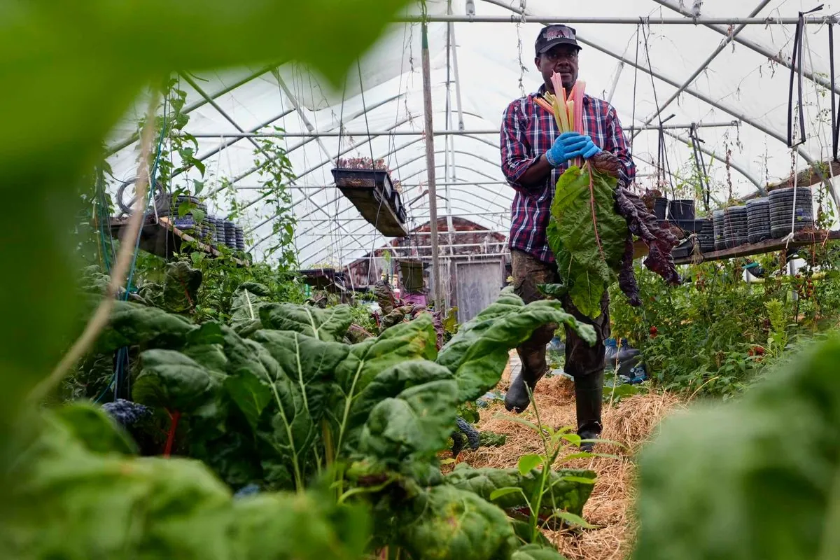 refugee-farmers-cultivate-new-lives-in-new-hampshire