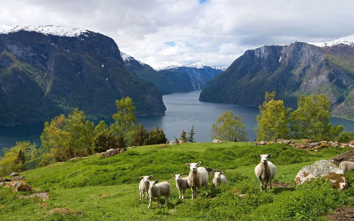 Norway Reports First Bluetongue Cases Since 2009, Joining European Outbreak