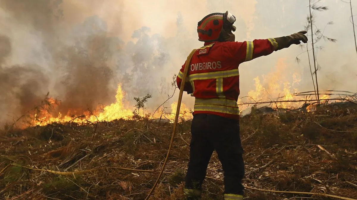 Portuguese Firefighters Gain Ground as International Aid Arrives