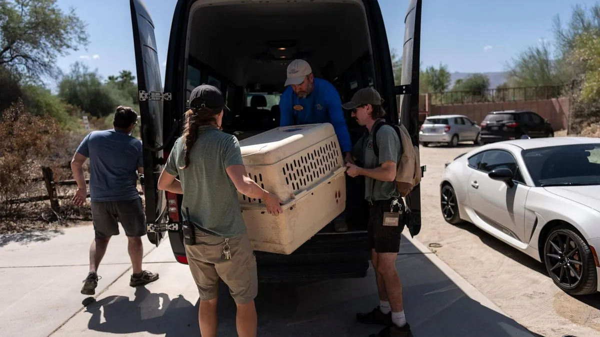 Barn Owl's Adventure: Big Bear Zoo Animals Evacuated from Wildfire