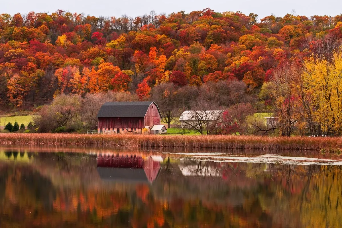 midwest-set-for-vibrant-fall-foliage-as-leaf-peeping-season-begins