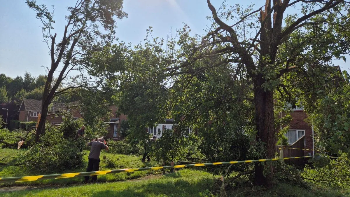 Rare Tornado Strikes Aldershot, England: Trees Toppled, Roofs Damaged