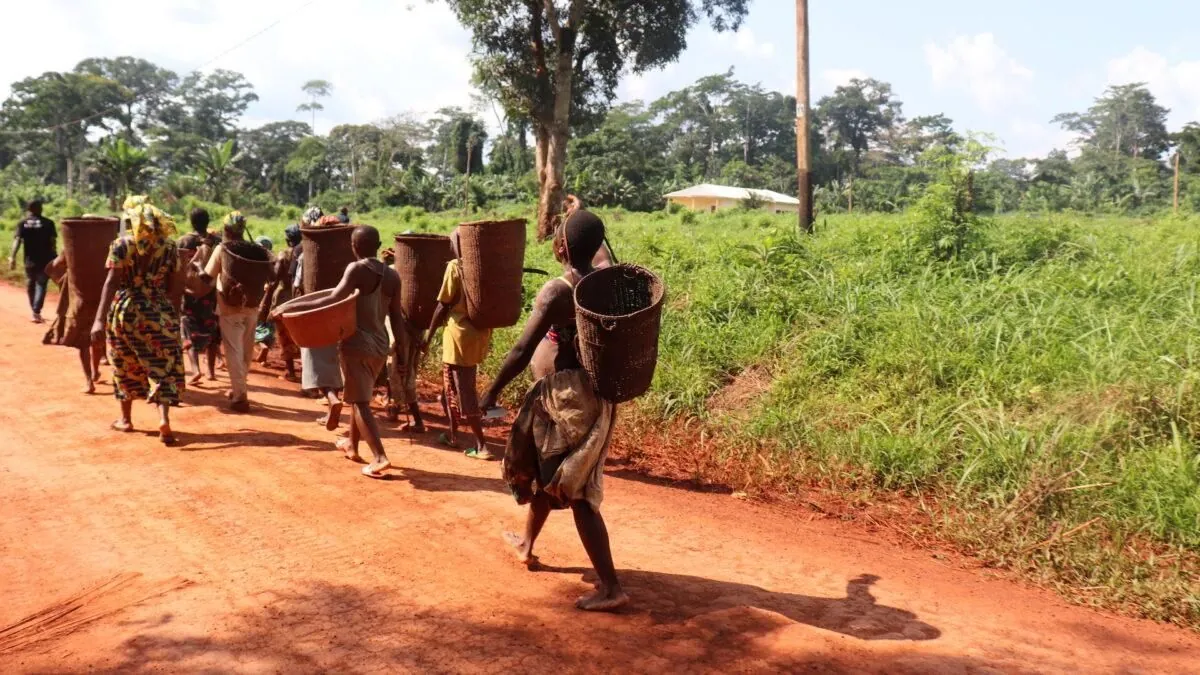 Cameroon's Indigenous People Face Citizenship Hurdles Amid Forest Exodus