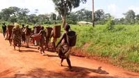 Cameroon's Indigenous People Face Citizenship Hurdles Amid Forest Exodus