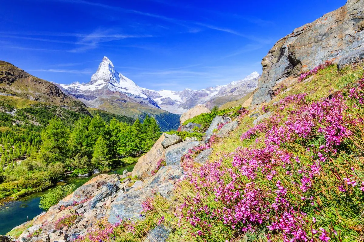 Swiss Biodiversity Vote: Balancing Nature and Economy