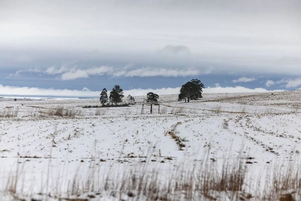 deadly-snowstorms-paralyze-south-african-coastal-regions