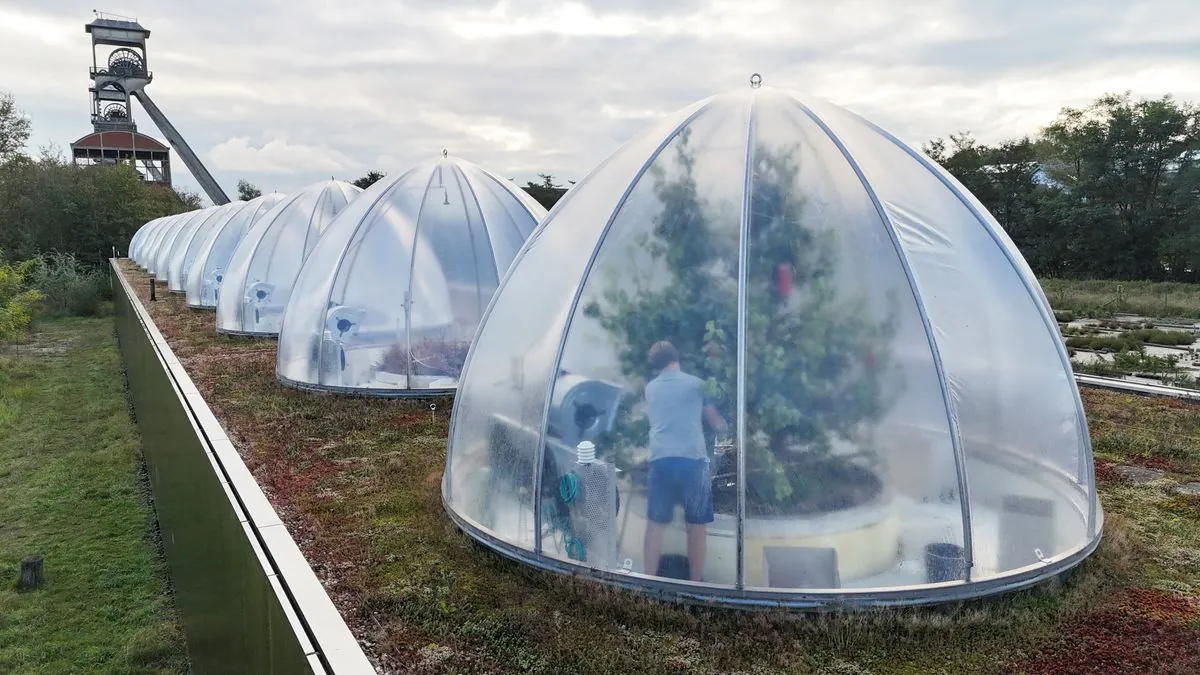 Belgian Scientists Simulate 2040 Climate to Study Pear Growth Impact