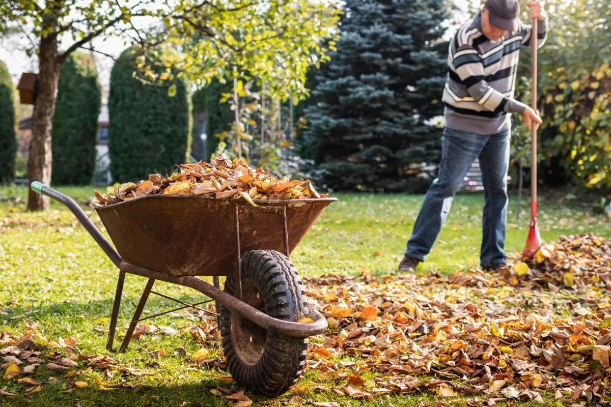 Fall Garden Prep: Balancing Tradition with Eco-Friendly Practices