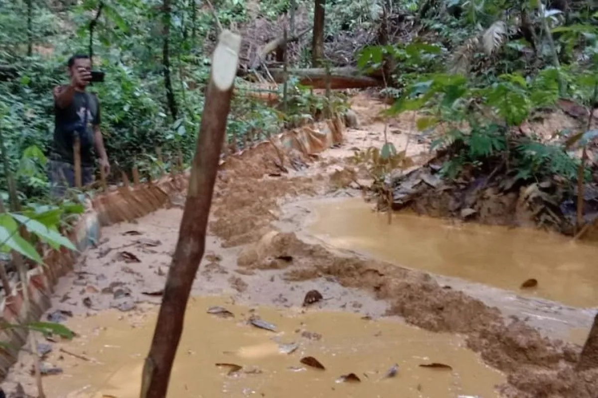 Deadly Collapse at Illegal Gold Mine in West Sumatra Claims 15 Lives