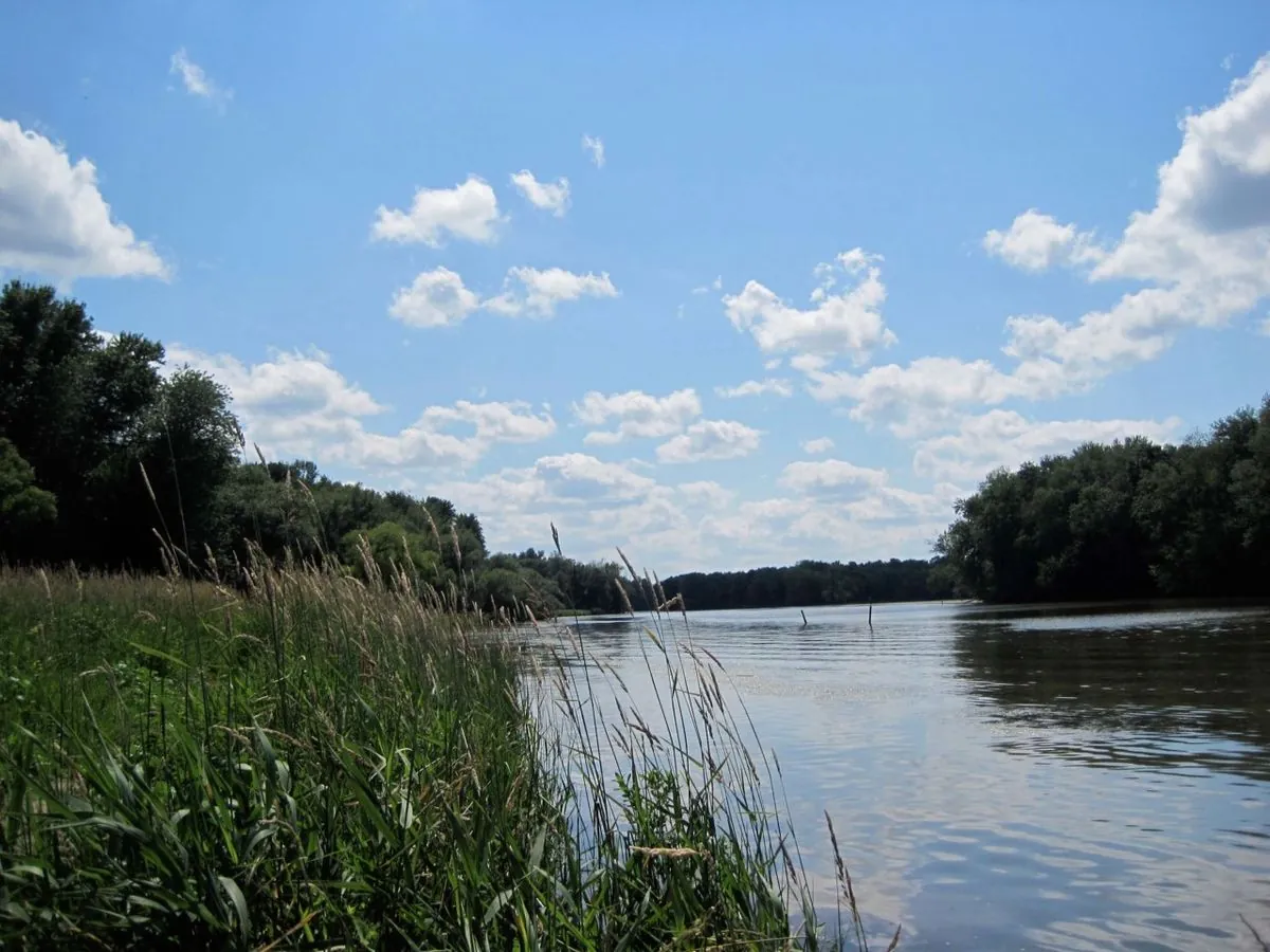 Onondaga Nation Reclaims 1,000 Acres of Ancestral Land in New York