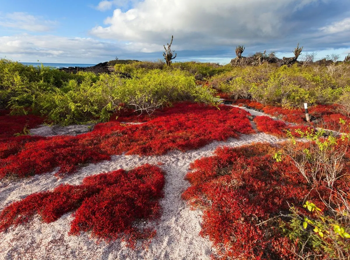 utopian-dreams-shattered-the-ill-fated-paradise-of-floreana-island