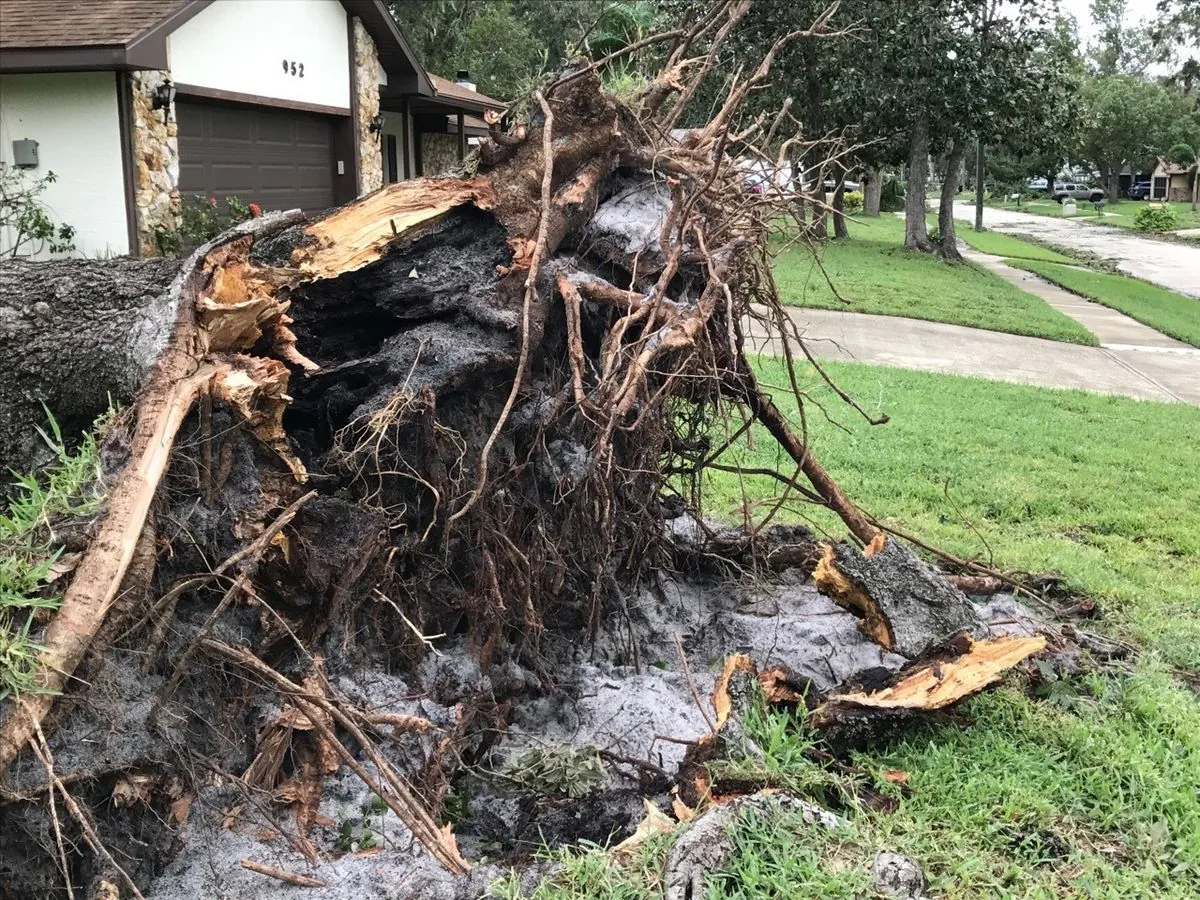 Tragic Loss: Elderly Couple Perishes in Hurricane Helene's Fury