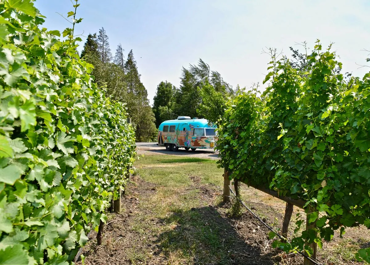 california-vineyard-owner-challenges-county-over-employee-rv-housing-fine