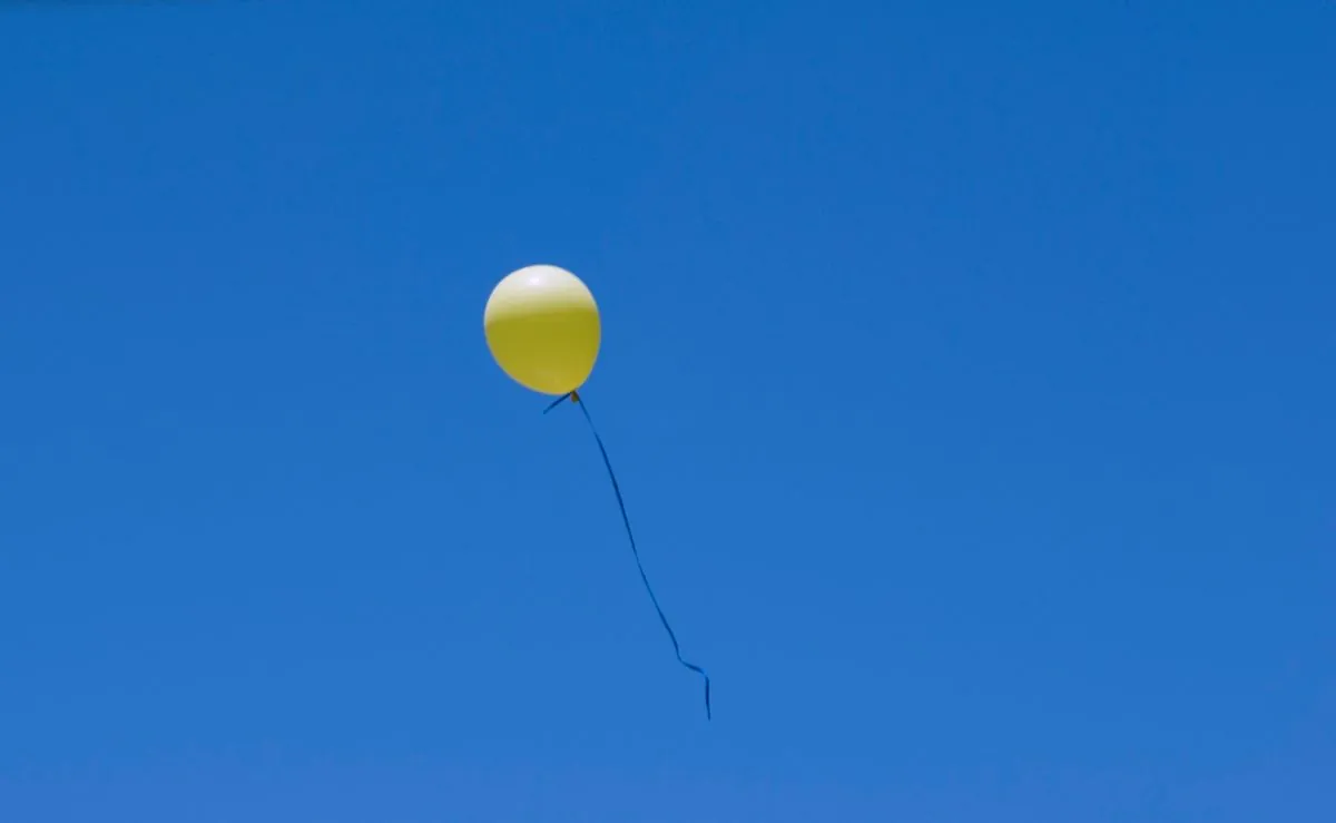 childhood-balloon-message-sparks-30-year-friendship-reunion