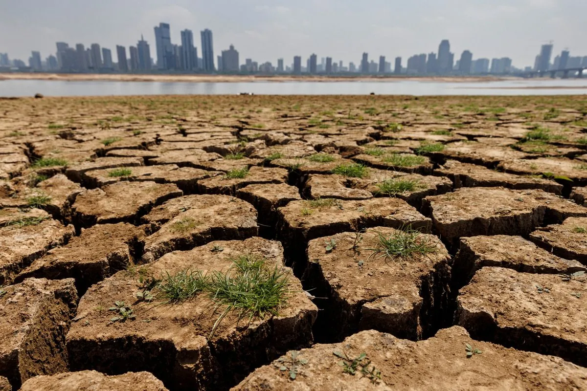 UN Report: 2023 Marks Driest Year for Global Rivers in Three Decades