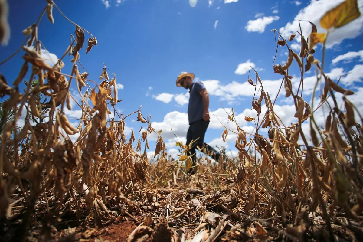 Brazil's Inflation Set to Rise Amid Drought and Economic Challenges