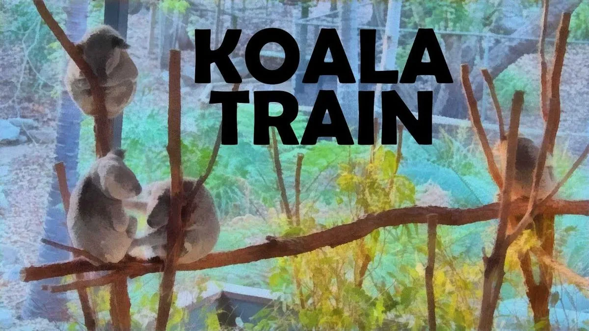 Curious Koala's Train Station Adventure Highlights Urban Wildlife Challenges