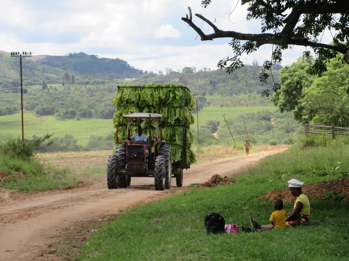 zimbabwe-to-pay-white-farmers-for-land-taken-in-early-2000s