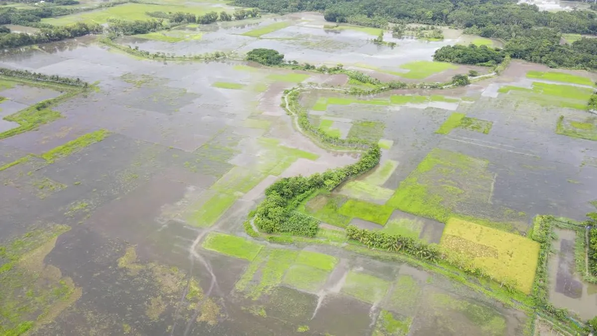 Bangladesh floods wipe out rice crops, forcing imports amid price hikes