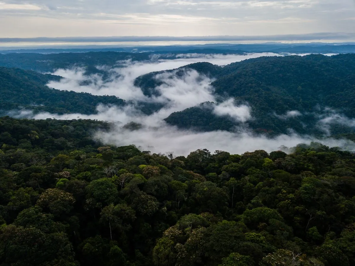 Colombia's hidden treasures emerge: Scientists rush into former no-go zones