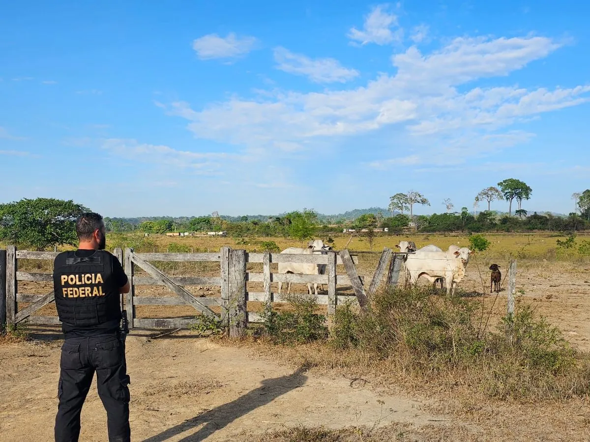 Brazilian meat firms hit with mega-fines over Amazon cattle scandal