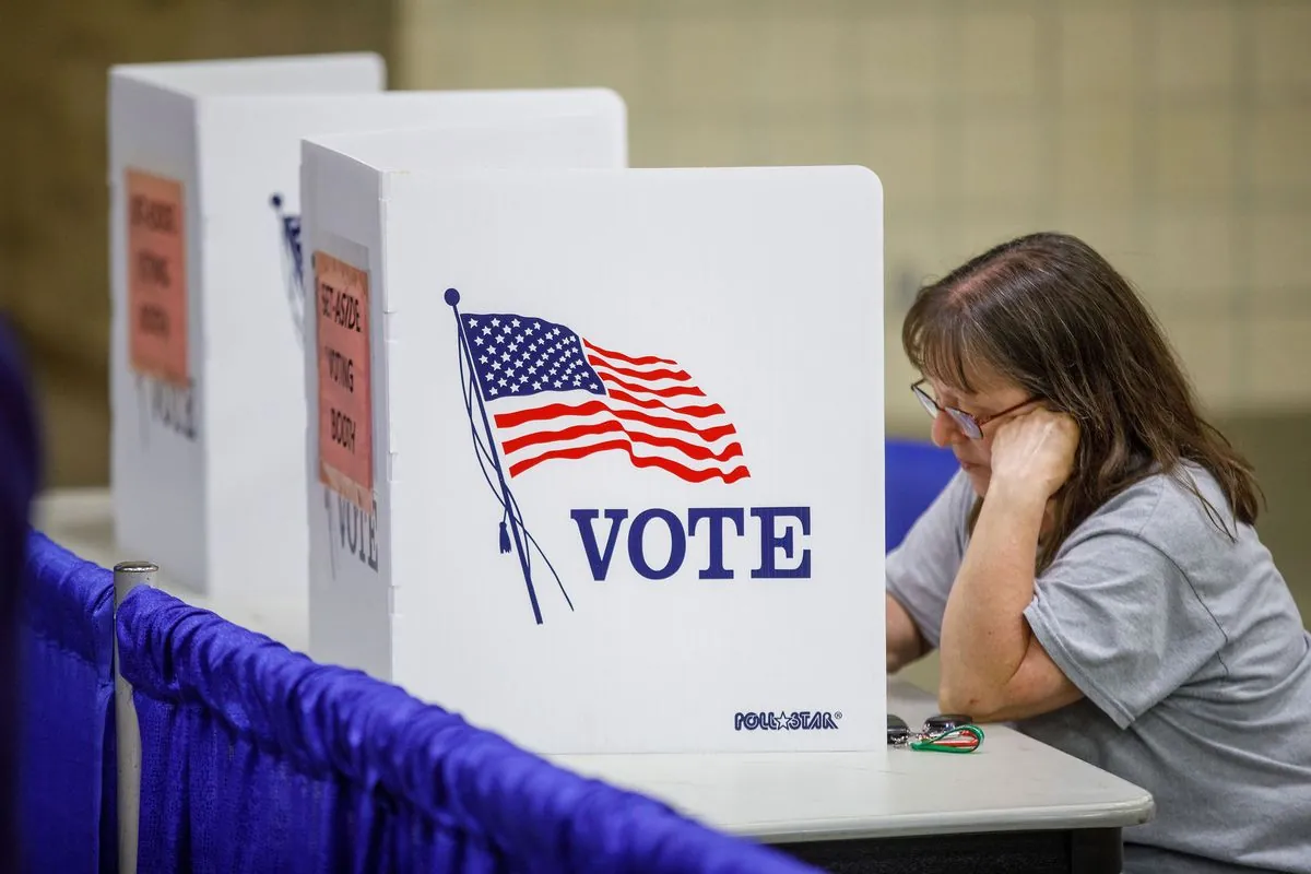 Federal election monitors face new roadblocks ahead of November vote