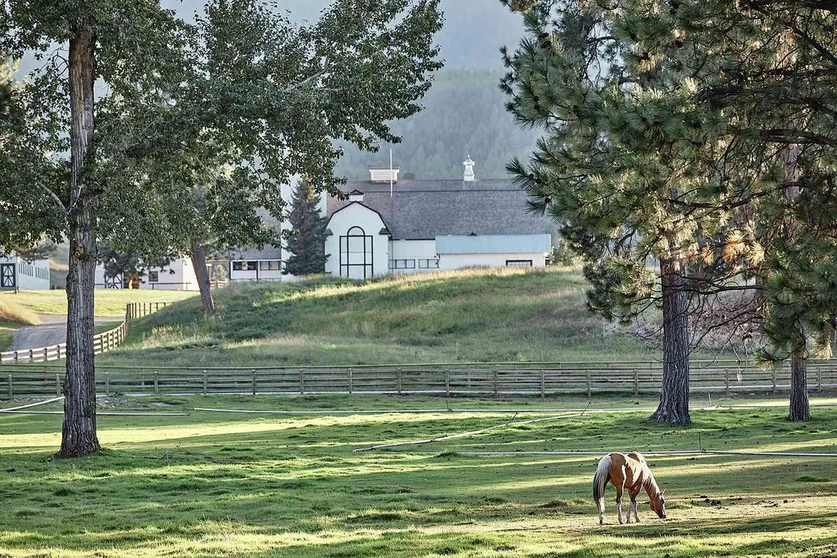 Popular ranch drama ends without its star: What happens next in Yellowstone?