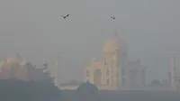 Major South Asian landmarks disappear under dangerous winter smog cloud