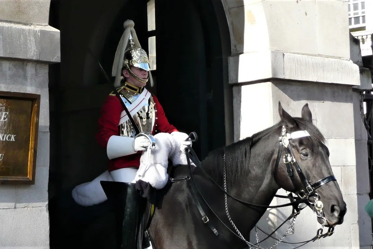 Military horse makes unexpected comeback after dramatic London escape