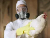 Fresh bird flu case forces emergency measures in British coastal town