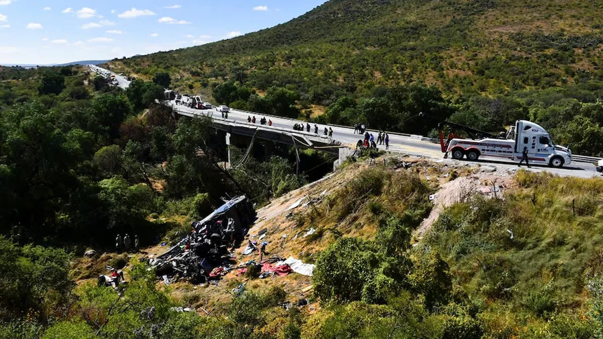 Tragic bus cliff accident takes multiple lives in Brazil's northeast